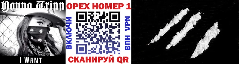 Кокаин Fish Scale darknet наркотические препараты Пудож