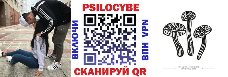 Галлюциногенные грибы ЛСД  Пудож 